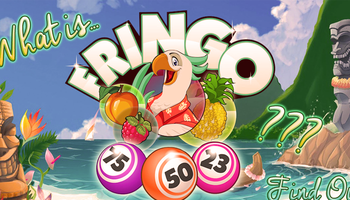 Bingo Fringo